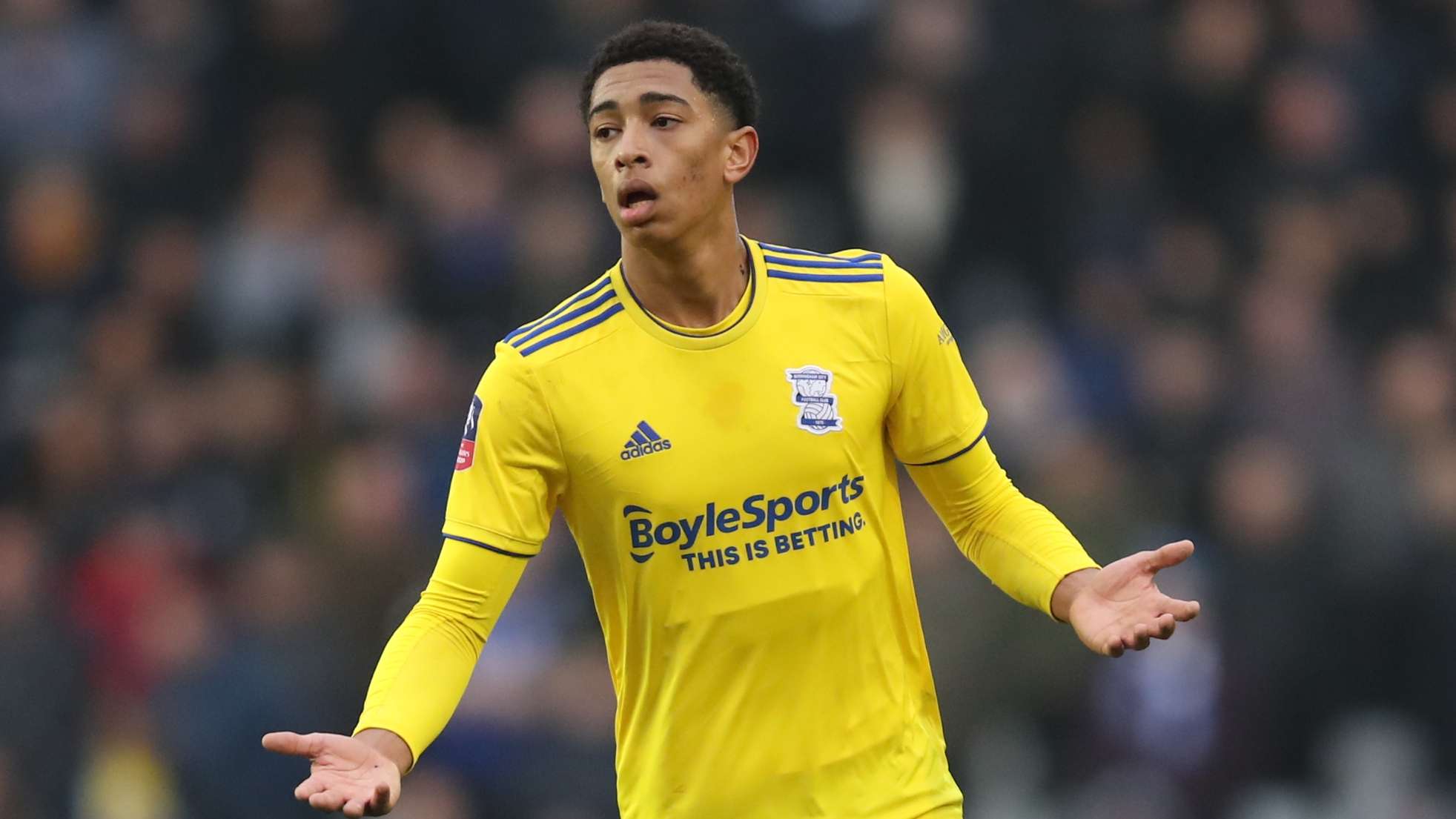 完全符合这 完全符合这